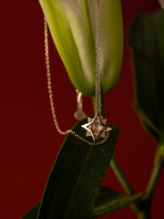 New York Moonstone Pentagram Necklace - CAMELLIA 18"