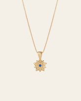 The Elsa Holly Tanzanite Necklace by CAMELLIA is a stunning 14K yellow gold vermeil piece with a star-shaped pendant and central blue gemstone, elegantly suspended on a fine chain. Hypoallergenic and perfect for any occasion, it ensures both style and comfort against your skin.