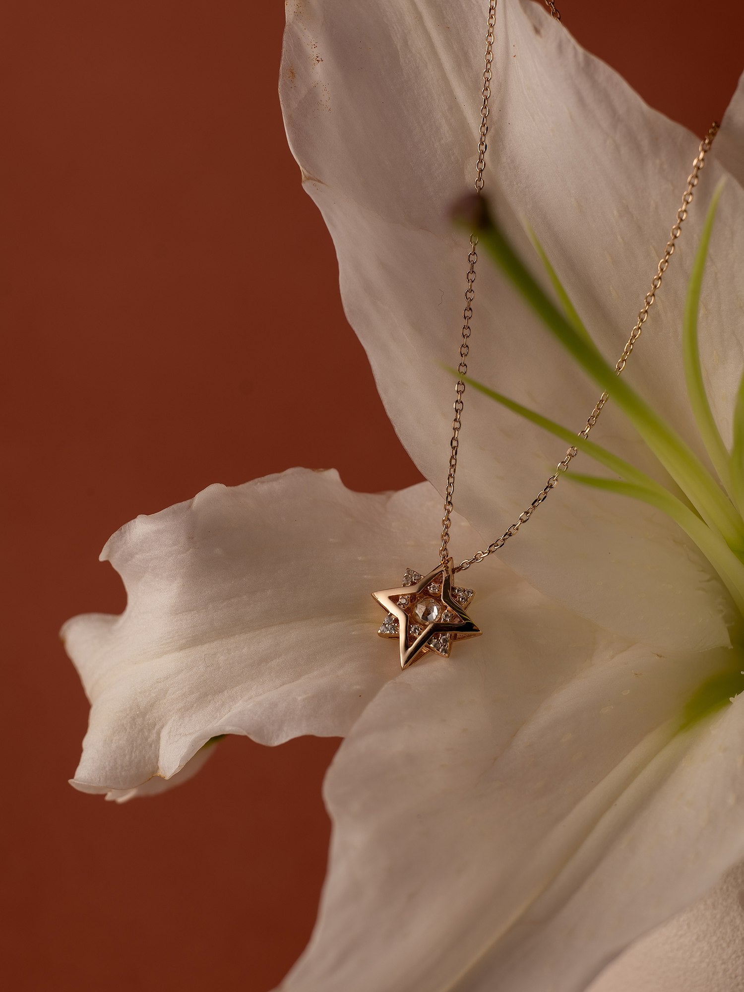 New York Diamond Pentagram Necklace - CAMELLIA 18"