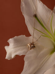 New York Diamond Pentagram Necklace - CAMELLIA 18"