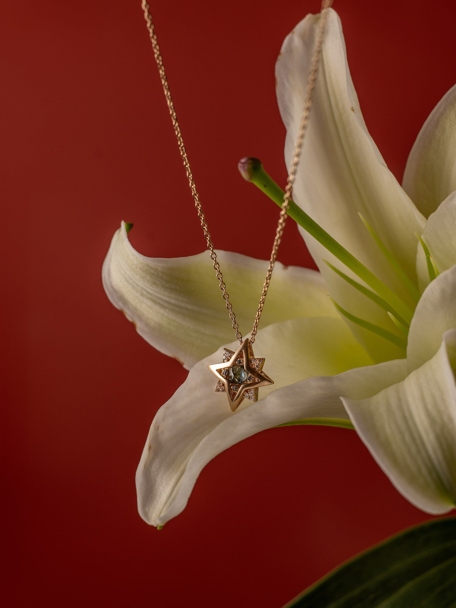 New York Topaz Pentagram Necklace - CAMELLIA 18"