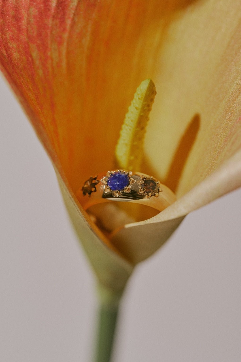 Savannah Lapis Lazuli Ring - CAMELLIA 5