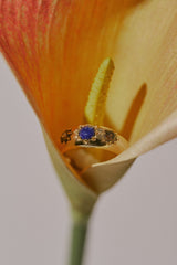 Savannah Lapis Lazuli Ring - CAMELLIA 5