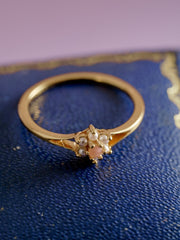 Petite Fleur Ring - CAMELLIA 5