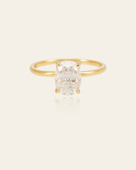 The One Band - CAMELLIA 5