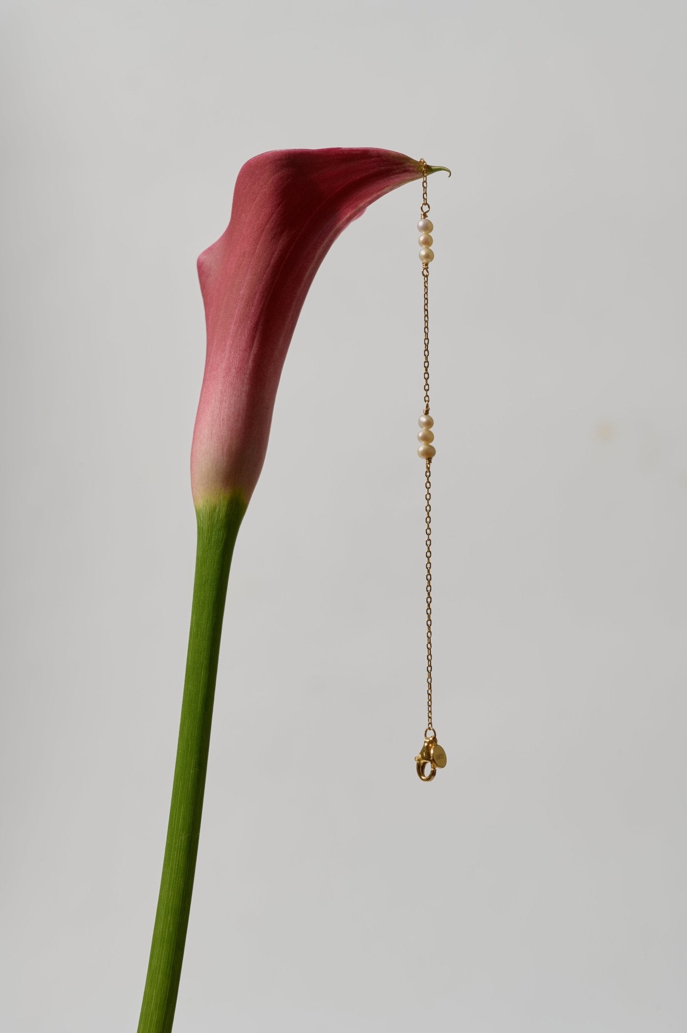 Polly Pearl Chain Necklace - CAMELLIA
