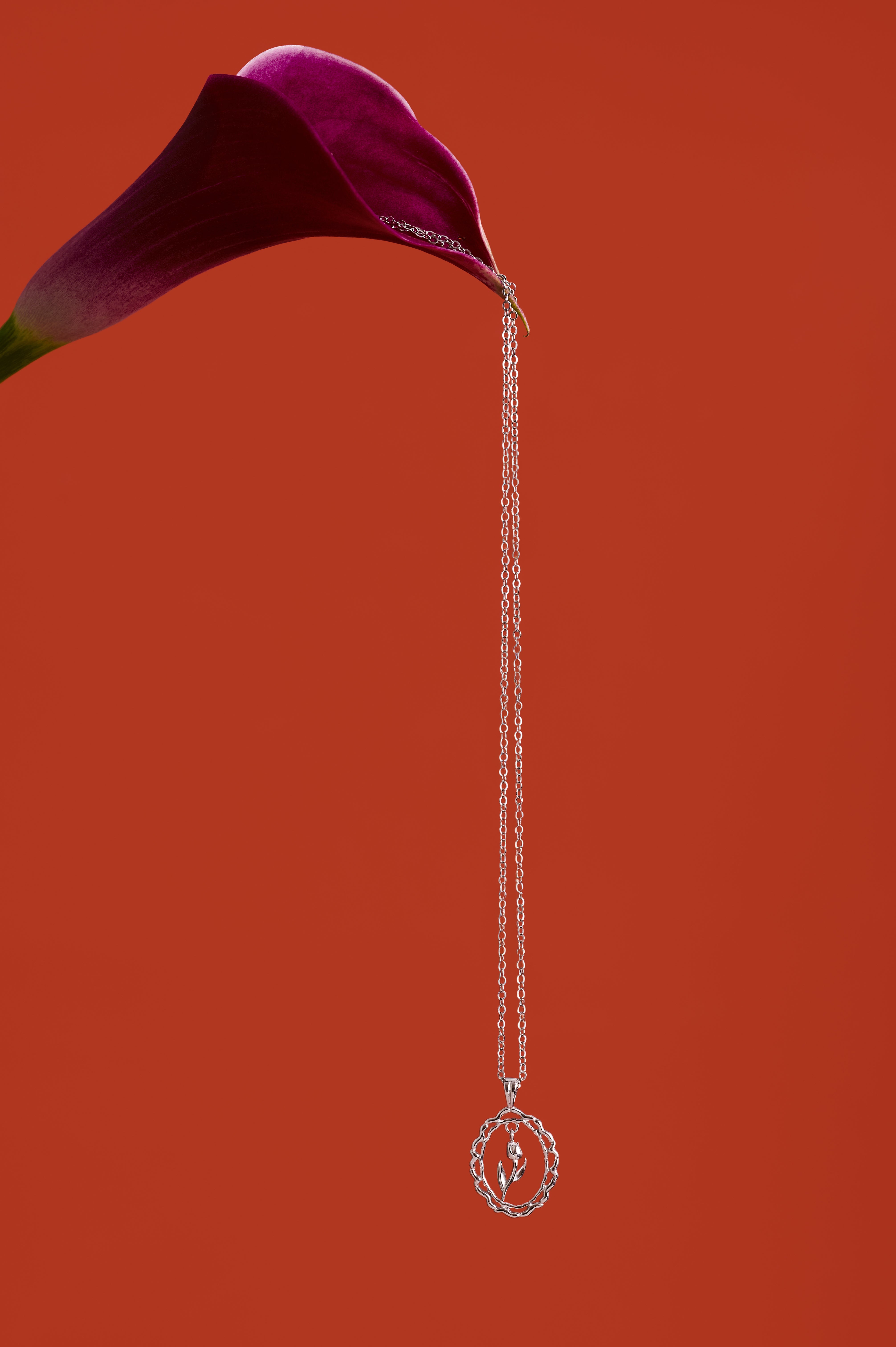 A silver necklace with a circular pendant hangs from the stem of a dark purple calla lily against a solid red background.