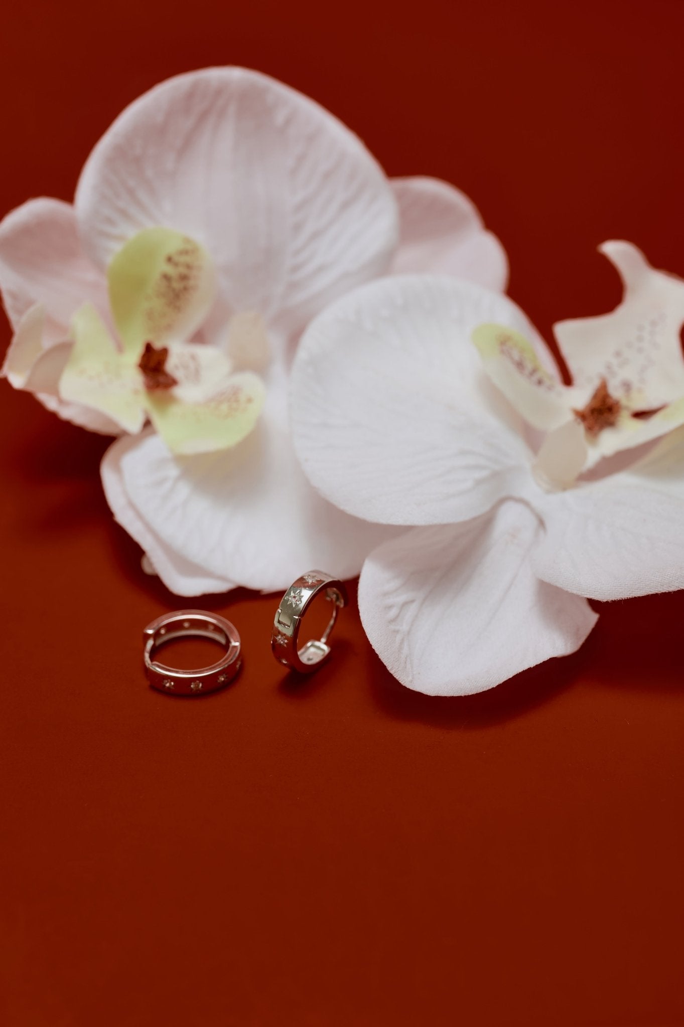 Starburst Cz Hoops - CAMELLIA White Gold