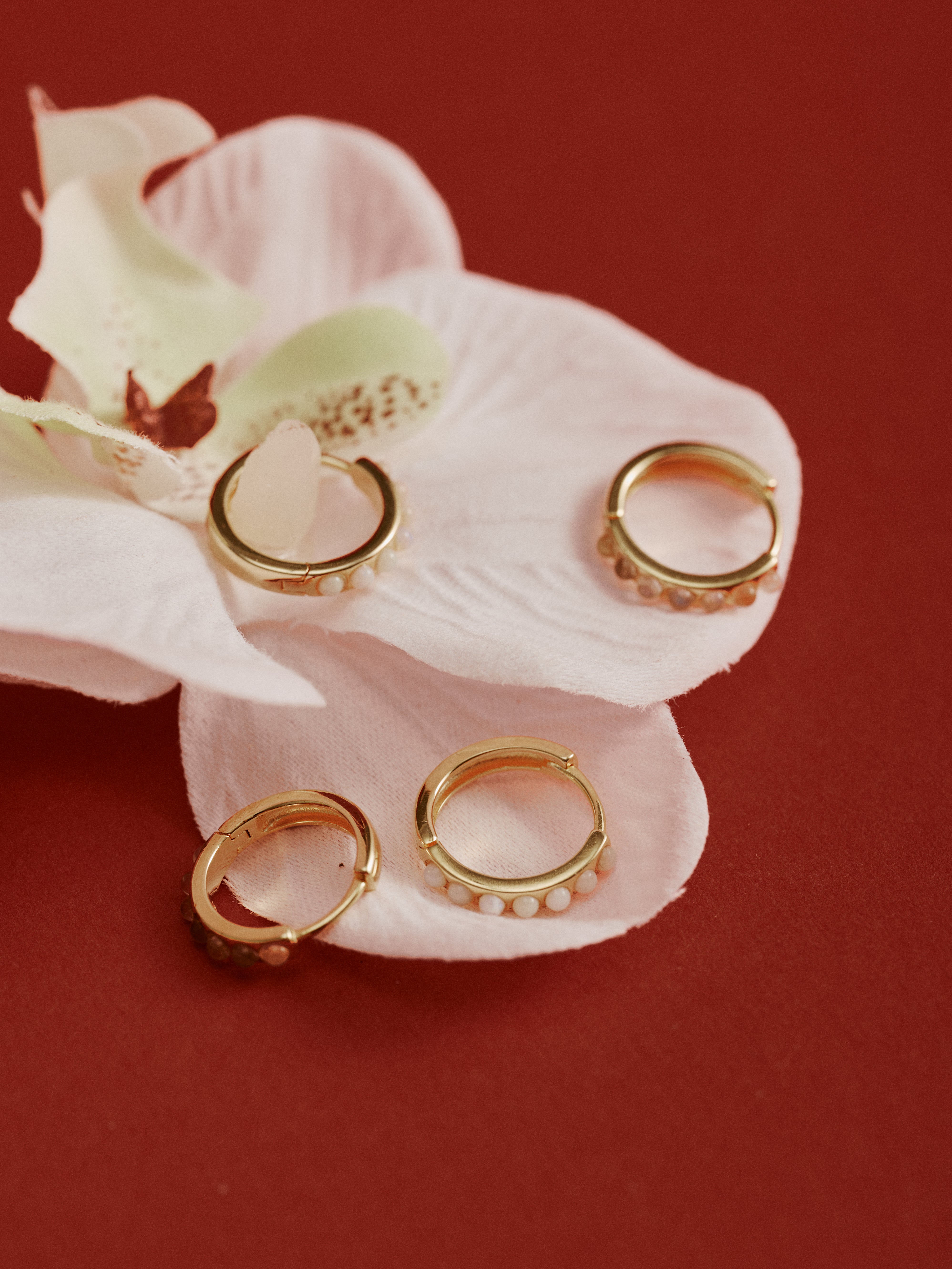 Four CAMELLIA Una Moonstone Hoops, crafted in 14K gold vermeil with small accents, are displayed on a light pink artificial flower against a red background. These hypoallergenic earrings offer an elegant touch to any look.
