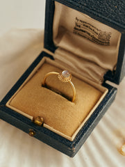 The CAMELLIA Eloise Moonstone Ring, featuring a vintage-inspired round moonstone set in a 14K yellow gold vermeil band, is displayed in a cream velvet hinged box for timeless elegance.
