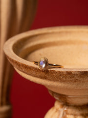 Eloise Moonstone Ring - CAMELLIA 5