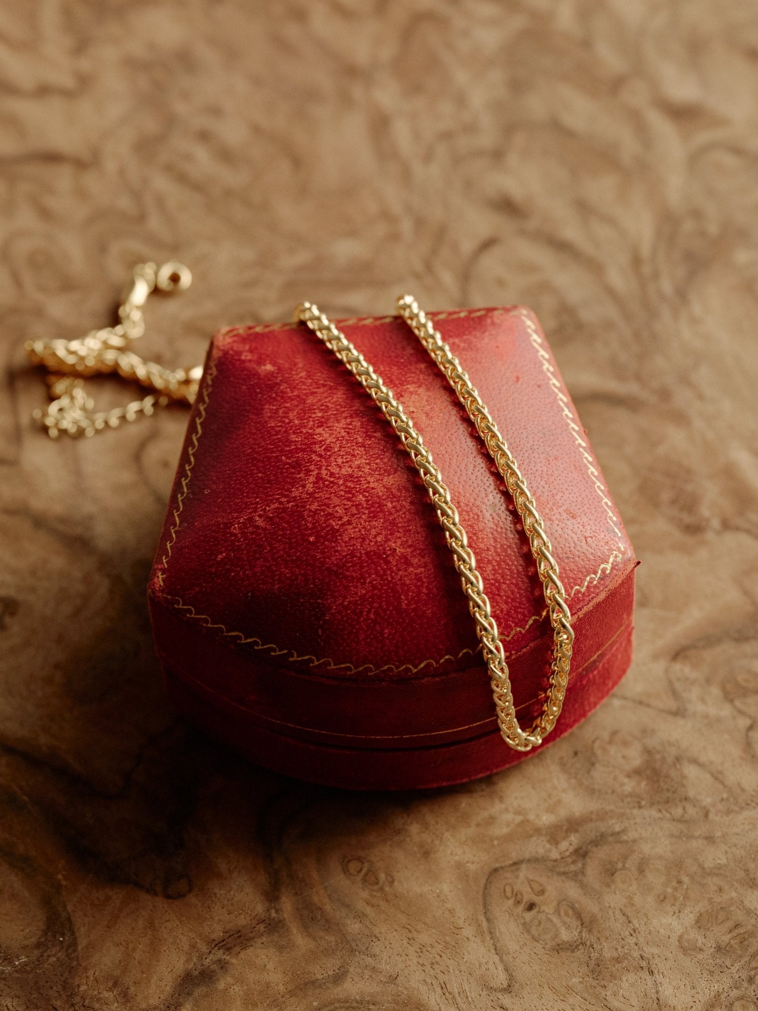 3mm Circle Chain Necklace - CAMELLIA Gold